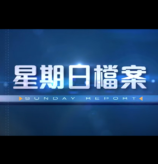 TVB《星期日檔案》-有限智能特輯